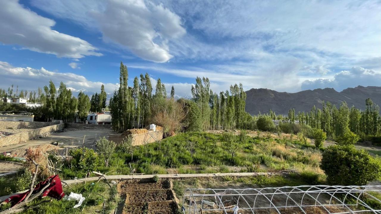 The Willow House Leh Exterior foto